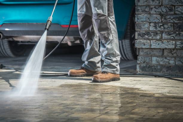 Best Driveway Pressure Washing  in South Creek, WA